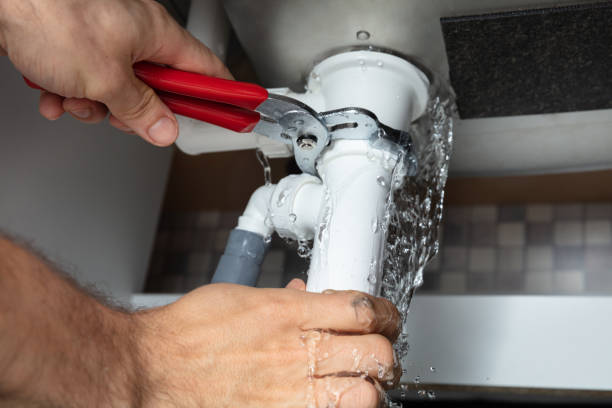 Best Flooded house restoration  in Oakwood, IL