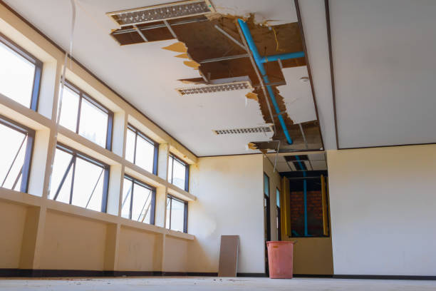 Professional Water damage restoration in Oakwood, IL