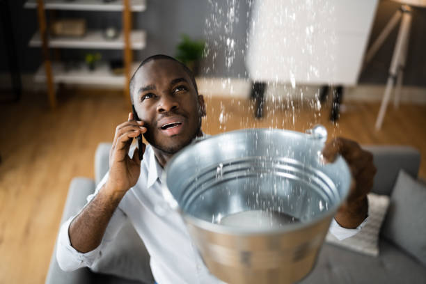 Best Water damage restoration insurance claims  in Oakwood, IL