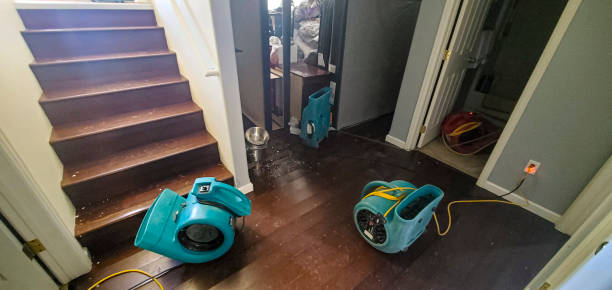 Water damage restoration experts in Oakwood, IL