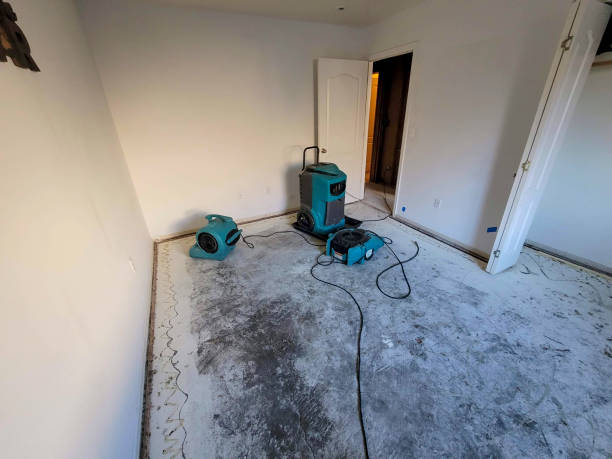 Trusted Oakwood, IL Water damage restoration Experts