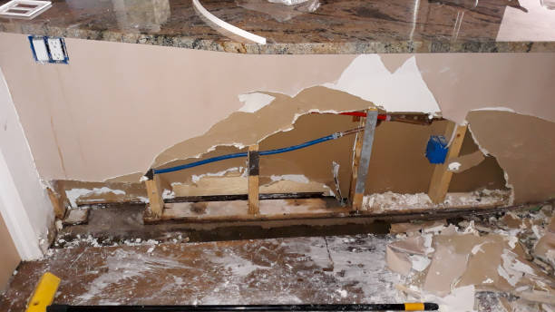 Best Residential water damage restoration  in Oakwood, IL