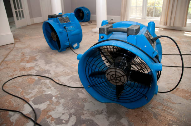 Best Flood restoration services  in Oakwood, IL