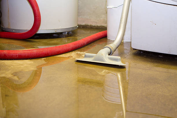 Best 24/7 water damage repair  in Oakwood, IL